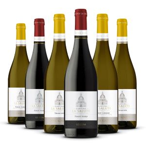 Confezione 6 bottiglie Magni Vitis Miste – La Salute
